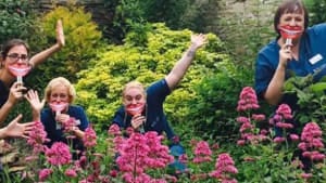 The impact of National Smile Month