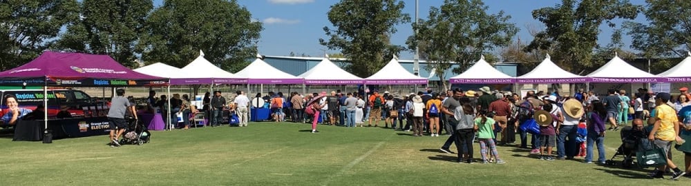 Oral health in the community