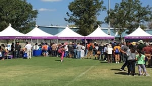 Oral health in the community