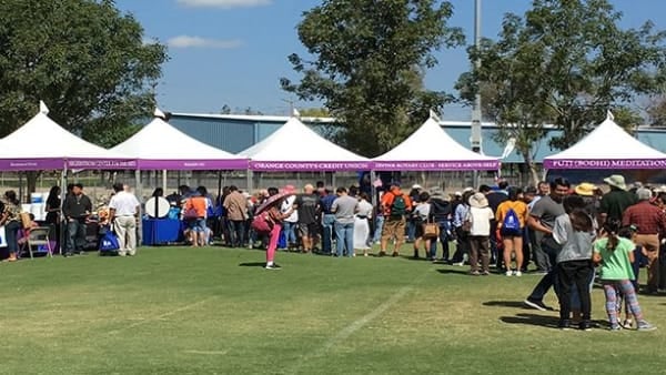 Oral health in the community