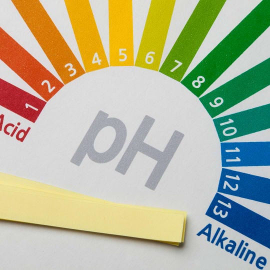 ph scale and testing strips