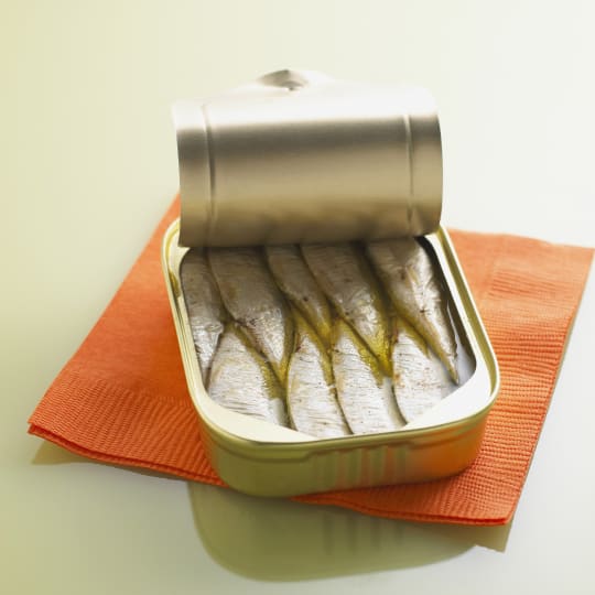 A small tin of sardines